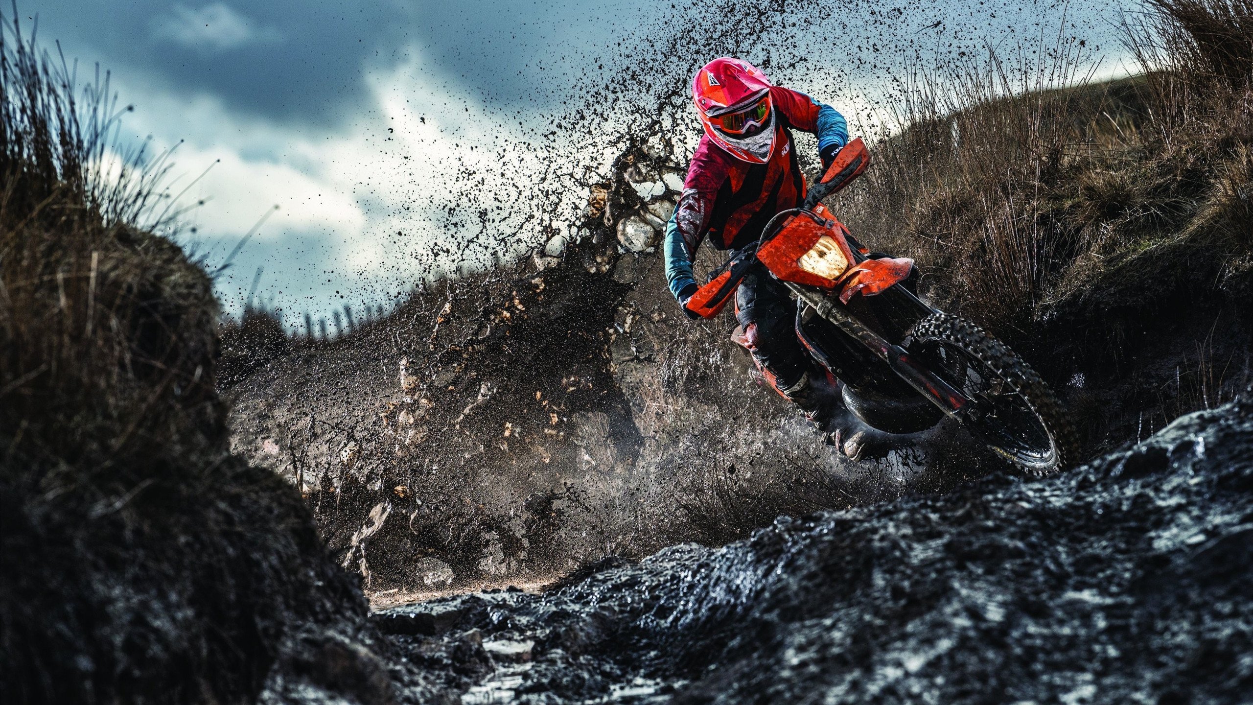 “费尔南多·比亚尔巴的突破性表现，让阿根廷橄榄球焕发新生”